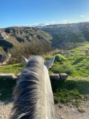 Passegiata a cavallo ad Avellino per due 