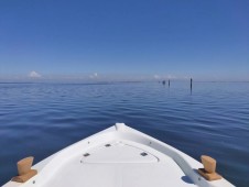 Chioggia: Tour Privato in Barca per scoprire la Laguna Veneta