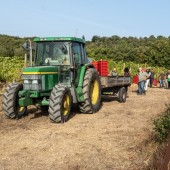 Degustazione di vino al Castello di Corbara