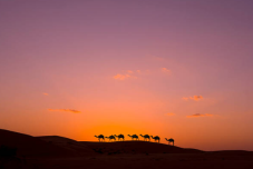 Pernottamento e Passeggiata a Cavallo al Tramonto