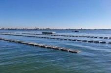 Chioggia: Tour Privato in Barca per scoprire la Laguna Veneta