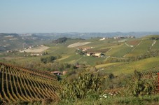 Soggiorno con Visita Guidata e Degustazione Langhe Per 2