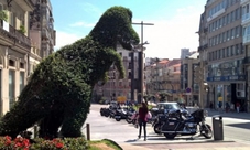 Locals on tap in Vigo guided tour