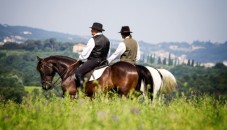 Passeggiata a cavallo sulle colline del Monferrato