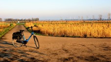 Roma: tour in bici di 6 ore dell'Appia Antica e del Parco degli Acquedotti