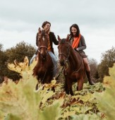 Passegiata a cavallo in Reggio Emilia  