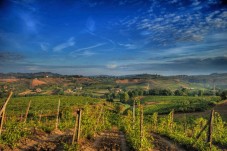 Tour San Gimignano, Siena, Monteriggioni e Chianti con degustazione di vini