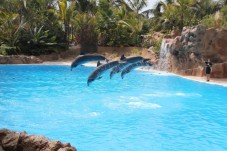 Biglietti per Loro Parque e Siam Park