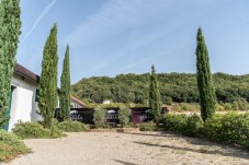 Degustazione di vino al Castello di Corbara