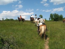 Giro a cavallo in provincia di Latina con degustazione