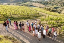 Tokaj Vineyard Escape: A Weekend of Wine, History, and Nature