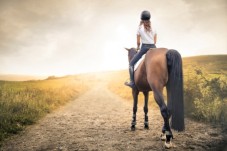 Passeggiata a Cavallo per 2 Rimini