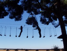 Adventure park and zip-lining in Hungary