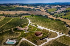 Degustazione di vino in Wine Resort