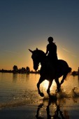 Passeggiata a Cavallo per 2 a Brindisi