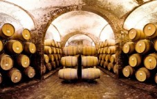 Degustazione di vino in cantina Millenaria