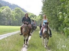 Passeggiata a Cavallo per 2 a Vicenza