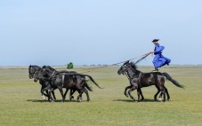 The Puszta Horse Show: Traditional Hungarian Equestrian Experience