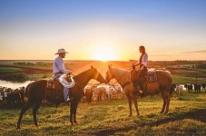 Passeggiata a Cavallo per 2 a Brindisi