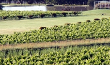 Hunter Valley degustazione vino