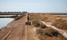 Ria Formosa Natural Park birdwatching segway tour in Faro Island