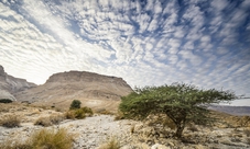 Tour di un giorno a Masada e Mar Morto