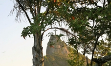 Guided walking tour in Rio de Janeiro - Corcovado, Christ the Redeemer and Favelas