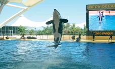 Biglietti per Loro Parque e Siam Park